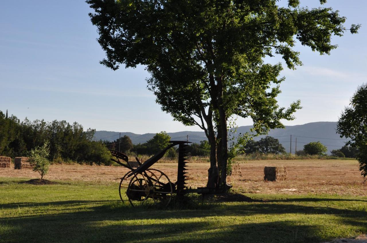 Mas Clement - Et Table D'hotes Bed & Breakfast