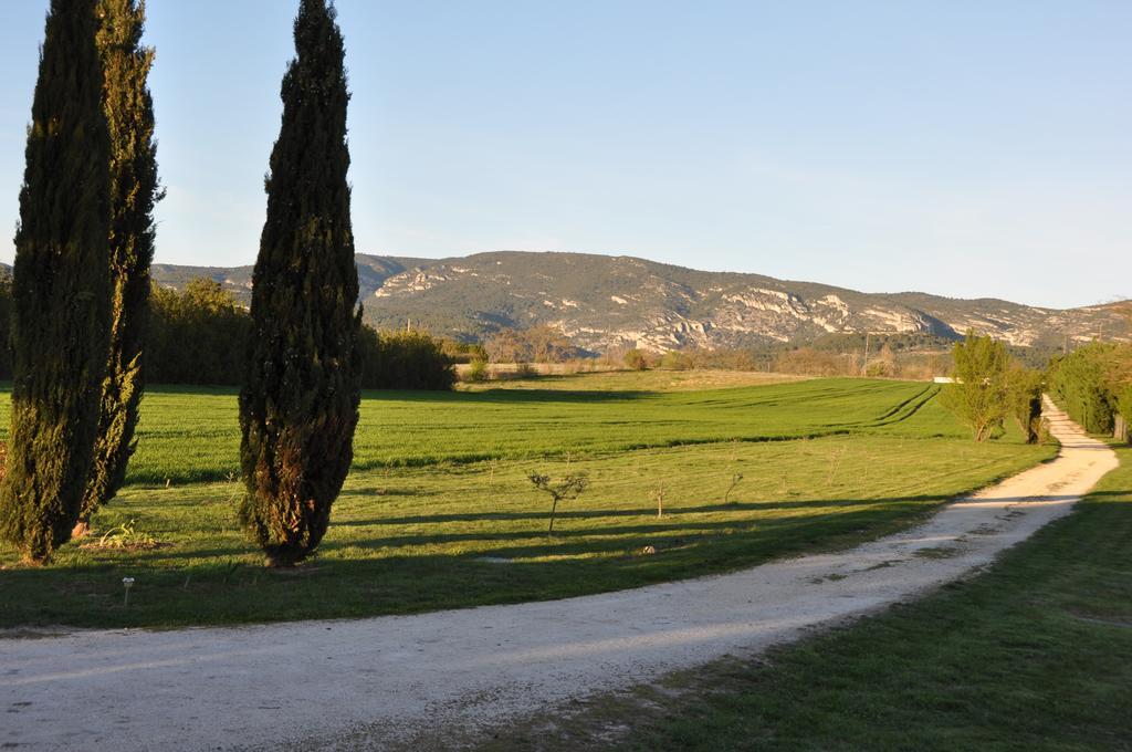 Mas Clement - Et Table D'hotes * L'Isle-sur-la-Sorgue